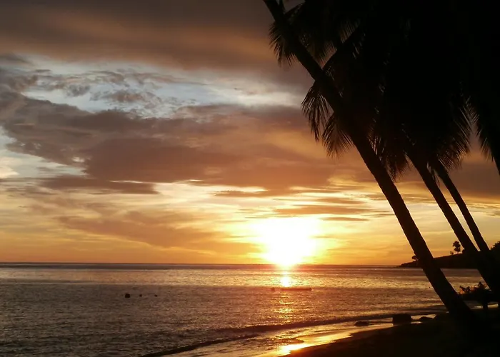 Palm View